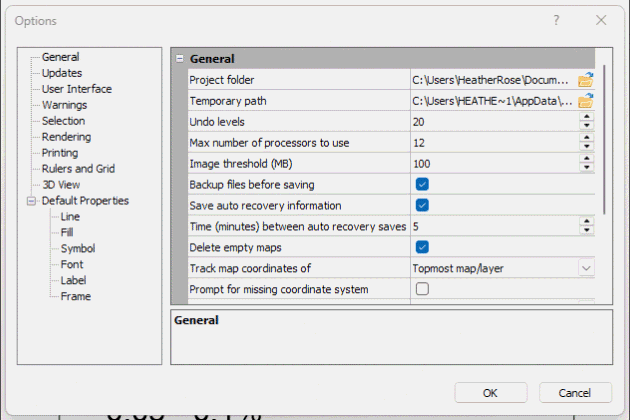 GIF showing the location of the Decimal separator option.
