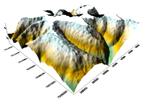 3D surface map with areas assigned NoData